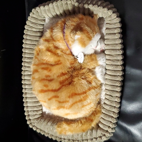 Perfect Petzzz Other - Sleeping Perfect Petz Life like Kitten